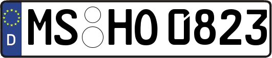 MS-HO0823
