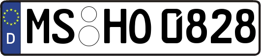 MS-HO0828