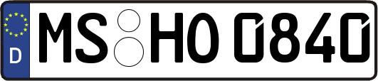 MS-HO0840