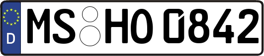 MS-HO0842