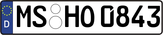 MS-HO0843