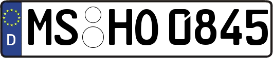 MS-HO0845