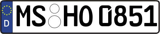 MS-HO0851