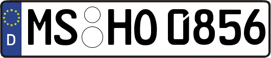 MS-HO0856
