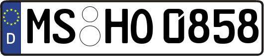 MS-HO0858