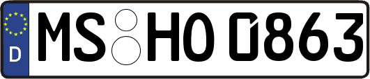 MS-HO0863
