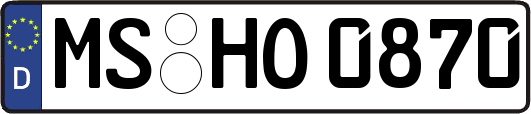 MS-HO0870