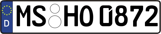 MS-HO0872