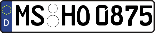 MS-HO0875