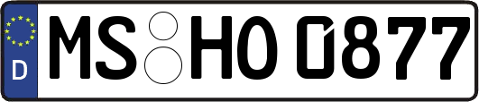 MS-HO0877