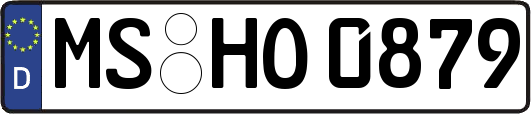 MS-HO0879
