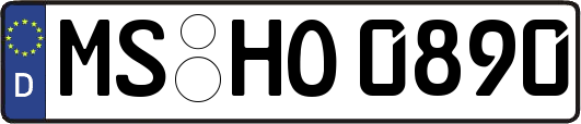 MS-HO0890
