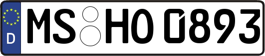 MS-HO0893