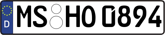 MS-HO0894