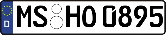 MS-HO0895