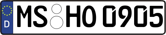 MS-HO0905