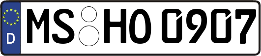 MS-HO0907