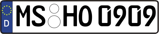 MS-HO0909