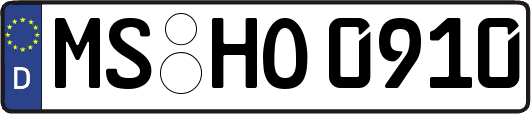 MS-HO0910