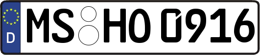 MS-HO0916