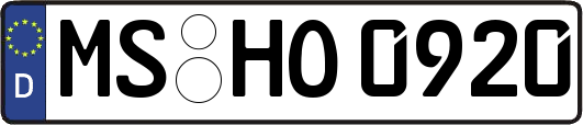 MS-HO0920