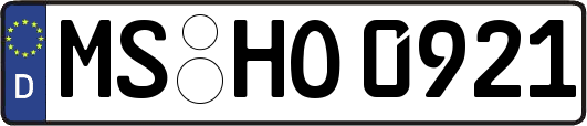 MS-HO0921