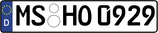 MS-HO0929