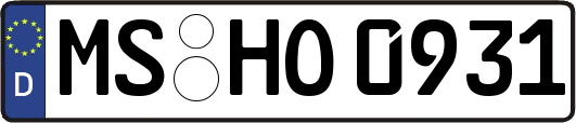 MS-HO0931