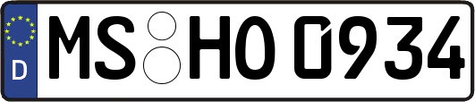 MS-HO0934
