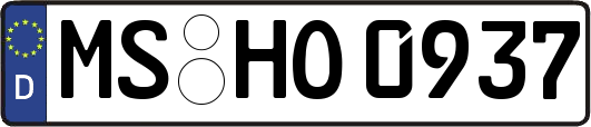 MS-HO0937