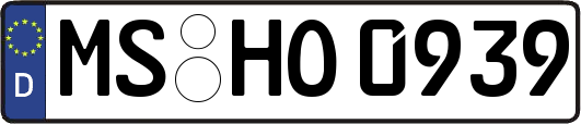 MS-HO0939