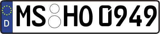 MS-HO0949