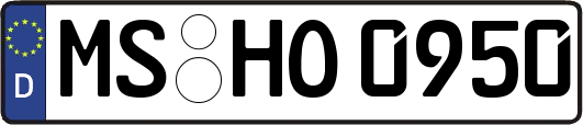MS-HO0950