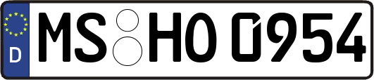 MS-HO0954