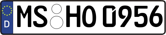 MS-HO0956