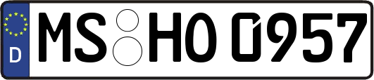 MS-HO0957