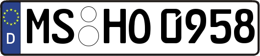 MS-HO0958