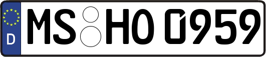 MS-HO0959
