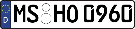 MS-HO0960