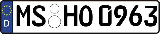 MS-HO0963