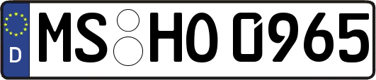 MS-HO0965