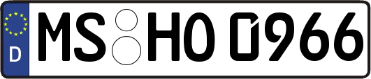 MS-HO0966