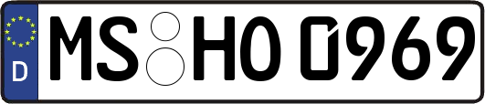 MS-HO0969