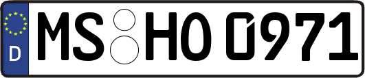 MS-HO0971