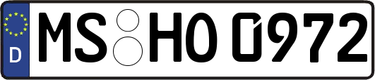MS-HO0972