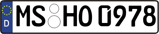 MS-HO0978