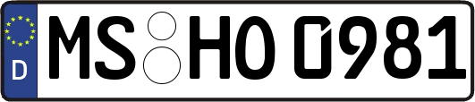 MS-HO0981