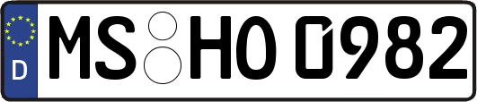 MS-HO0982