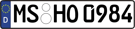 MS-HO0984