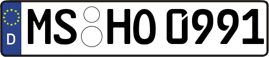 MS-HO0991